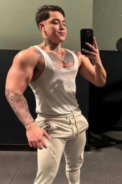 Callboy -