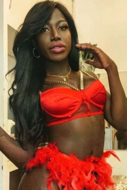 Luana Trans